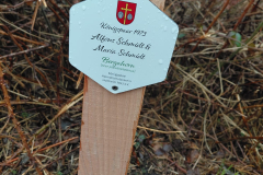 WhatsApp-Image-2026-03-29-at-11.33.04n