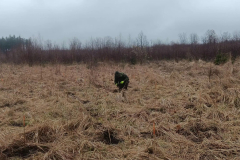 WhatsApp-Image-2026-03-31-at-20.26.57_n