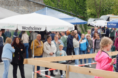2025_5_29_Dorffest-20