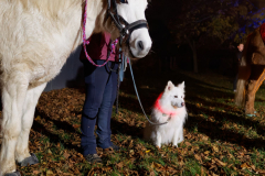 2025_11_7_StMartin_026